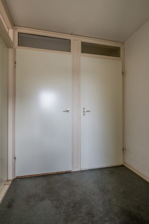 AAP 2026 ODHH 0218 012.jpeg